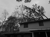 Hey guys...: Photo 4 of 4