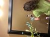 Curl type : Photo 2 of 4