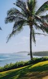 Hawaii!!!🌺🤟🏻✈️: Photo 2 of 4