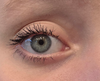 Before and after Mascara: Photo 2 of 2