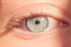 Eyes: Photo 3 of 3