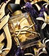 YSL Librarie