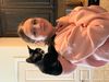 my cat : Photo 2 of 2