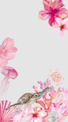 Wallpapers : Photo 1 of 7