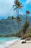 Hawaii!!!🌺🤟🏻✈️: Photo 1 of 4