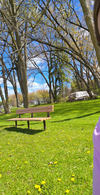 Photo dumppp: Photo 1 of 8