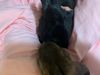 Bunnies!!: Photo 3 of 4