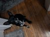 Photo dump! : Photo 1 of 5