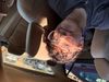 Hi: Photo 1 of 8