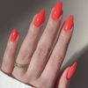 Sunkissed Coral