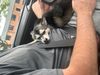 Photo dump!!: Photo 3 of 5