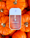 Pumpkin (Touchland Power Mist Hand Sanitizer in Spiced Pumpk